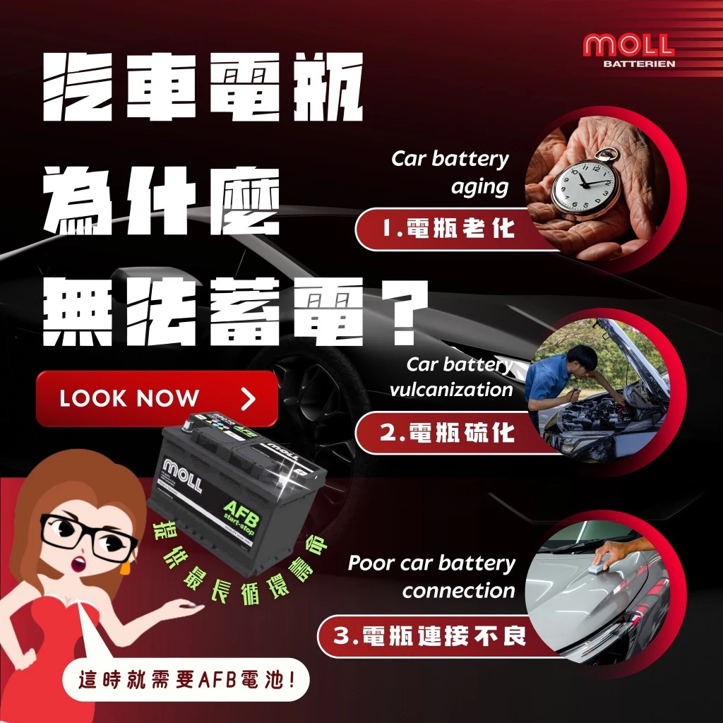 MOLL 86086 Start-Stop AFB電瓶 高性能 12V 86AH 820CCA 免加水汽車電池 德國製