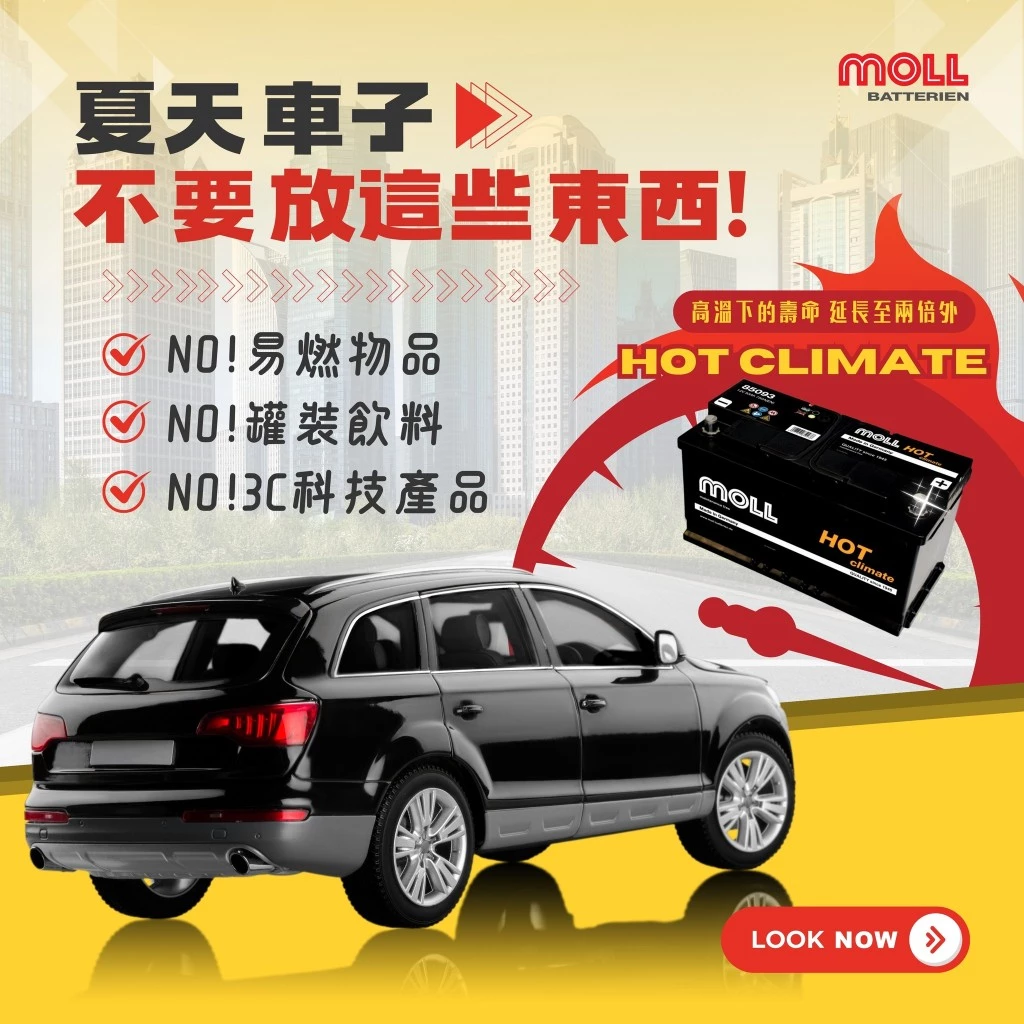 MOLL 85063 HOT Climate電瓶 高性能 12V 63AH 540CCA 免加水汽車電池 德國製