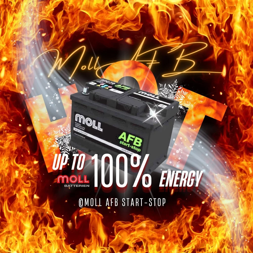 MOLL 86086 Start-Stop AFB電瓶 高性能 12V 86AH 820CCA 免加水汽車電池 德國製