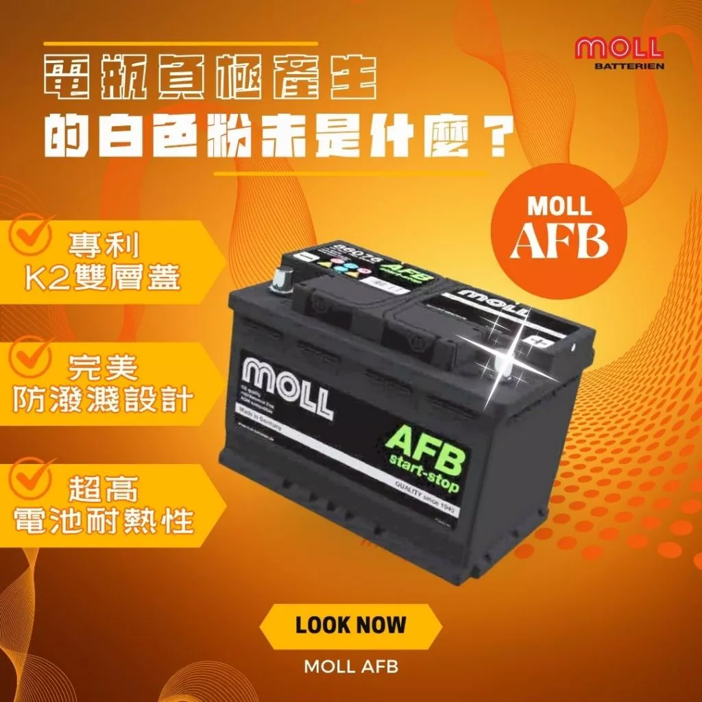 MOLL 86086 Start-Stop AFB電瓶 高性能 12V 86AH 820CCA 免加水汽車電池 德國製