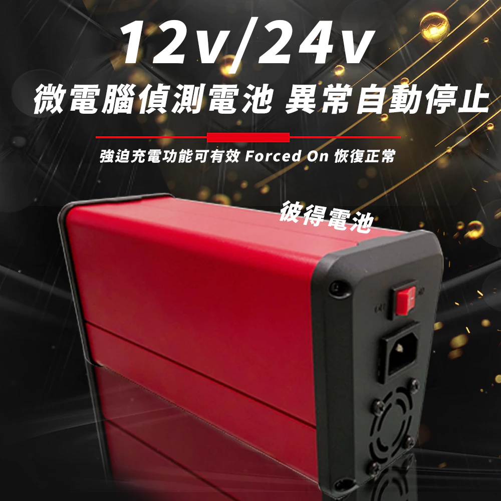 麻新電子 LFP-2412 24V 12A電池充電器 鋰鐵 台灣製造 一年保固