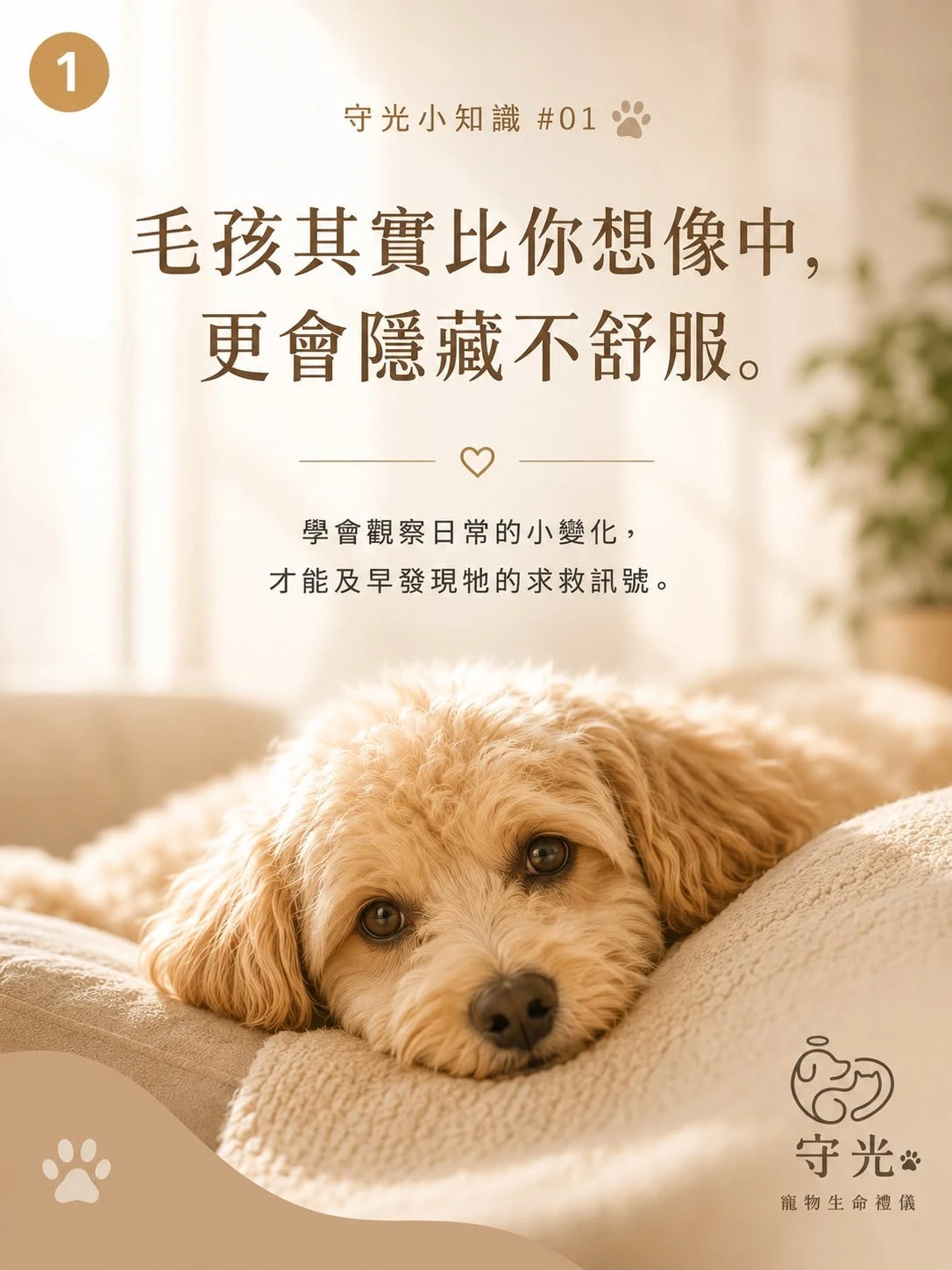 守光小知識01｜毛孩其實比你想像中，更會隱藏不舒服。