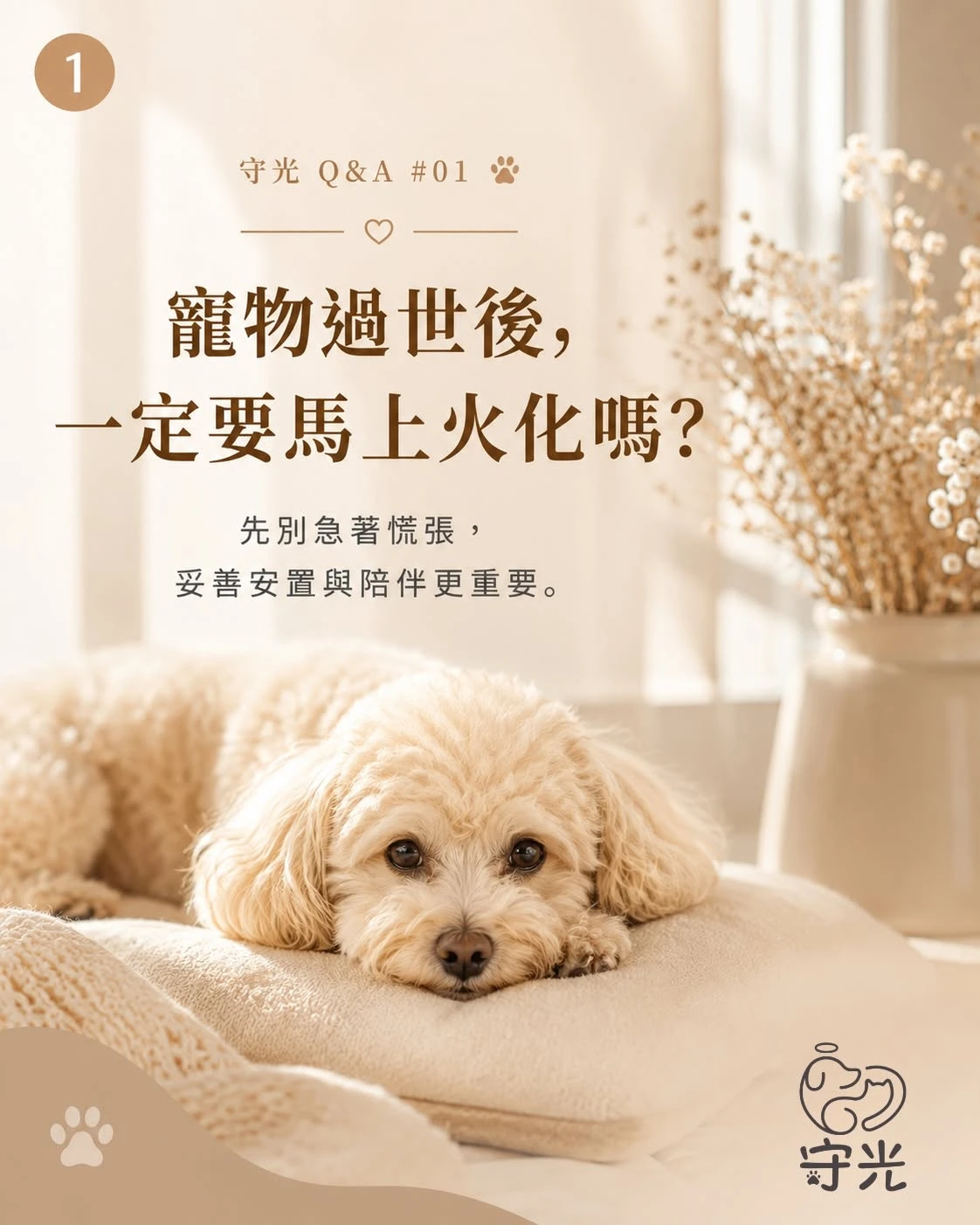 寵物過世後，一定要馬上火化嗎？
