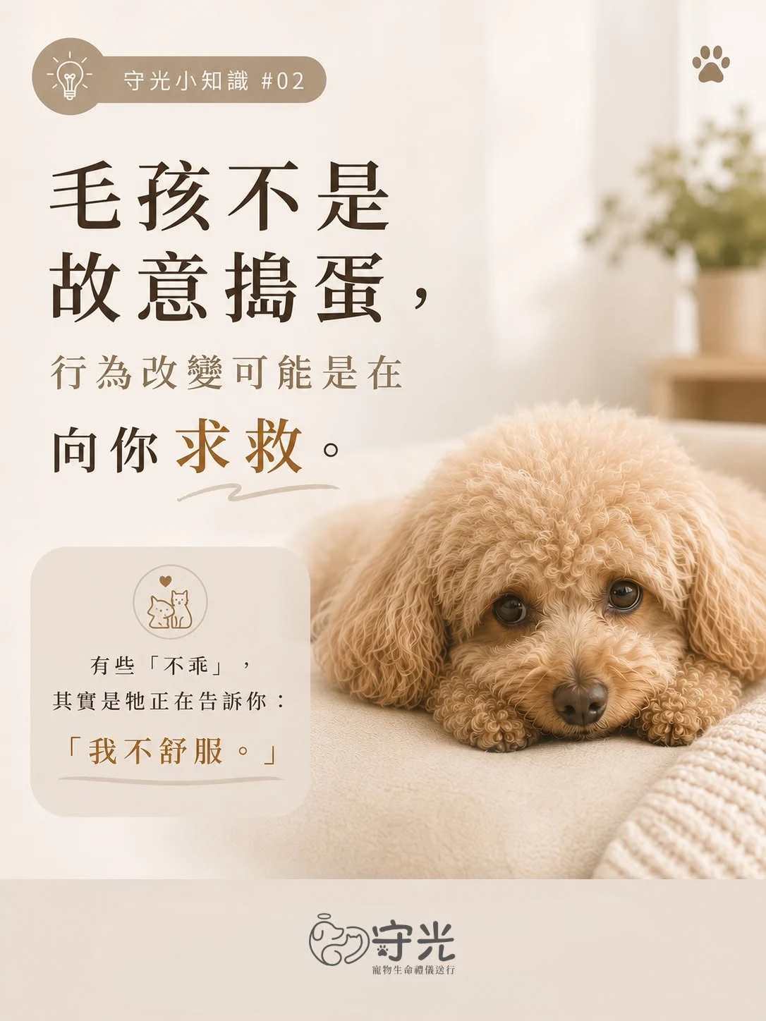守光小知識02｜毛孩不是故意搗蛋，行為改變可能是在向你求救