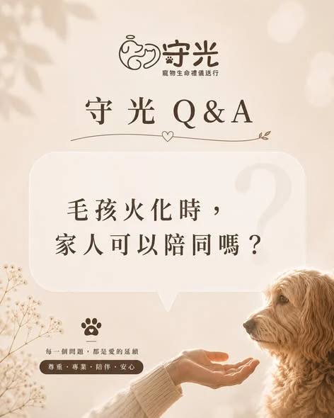 守光 Q&A｜毛孩火化時，家人可以陪同嗎？