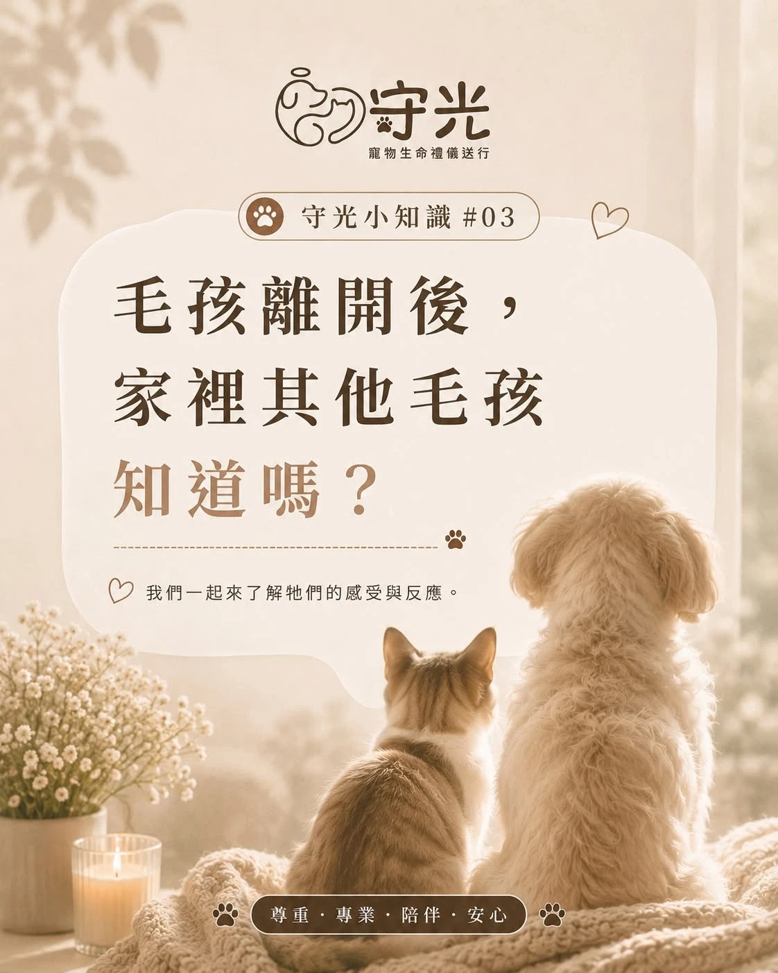 守光小知識03｜毛孩離開後，家裡其他毛孩知道嗎？
