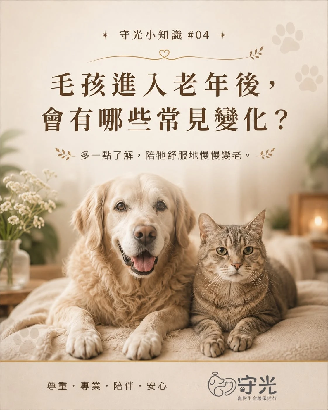 守光小知識04｜毛孩進入老年後，會有哪些常見變化？