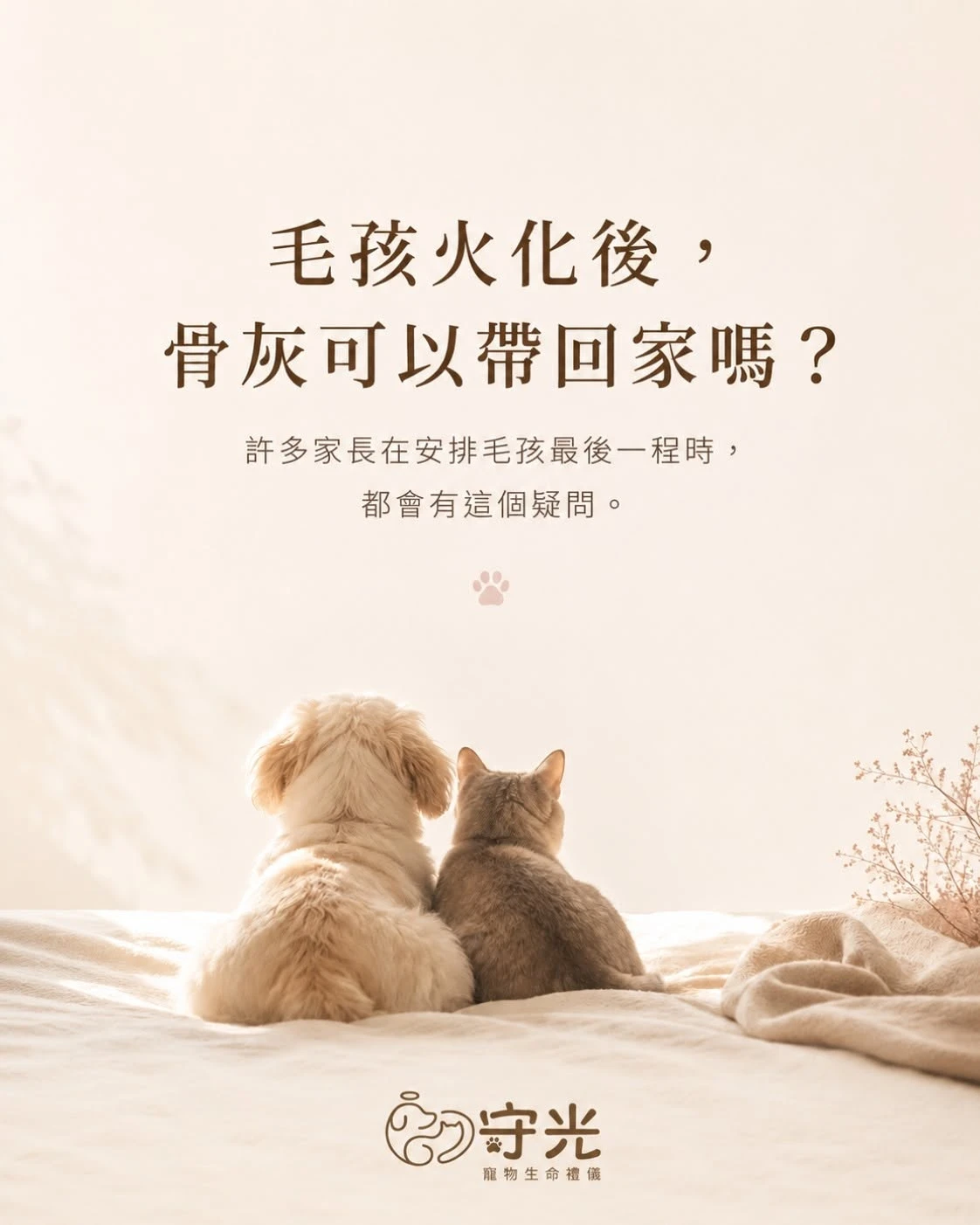 守光 Q&A 04｜毛孩火化後，骨灰可以帶回家嗎？