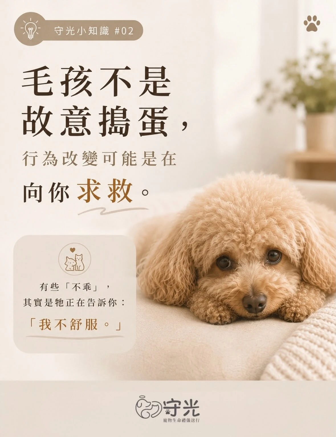 守光小知識 03 ｜毛孩不是故意搗蛋，行為改變可能是在向你求救