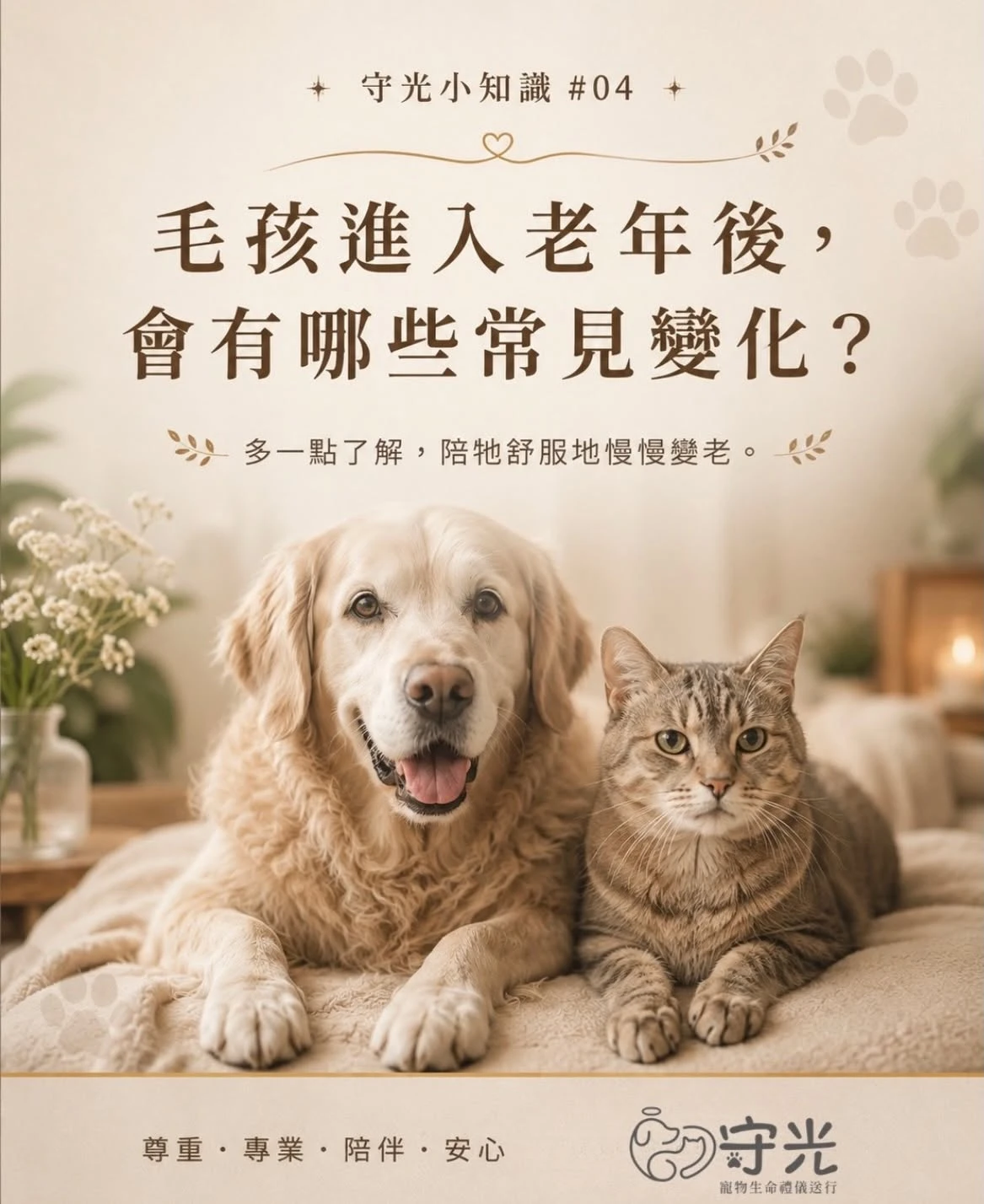 守光小知識｜毛孩進入老年後，會有哪些常見變化？