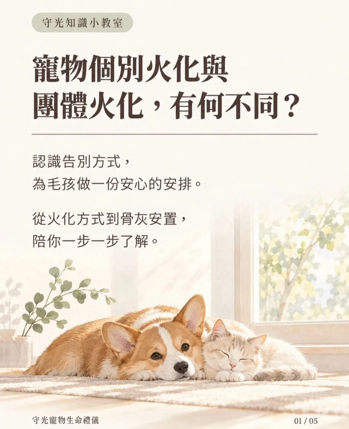 「個別火化和團體火化，到底差在哪裡？」