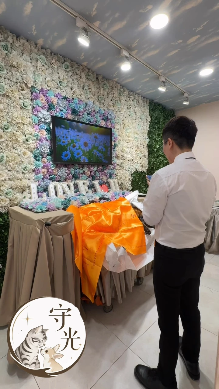 胖胖的主人是一位非常貼心的女主人