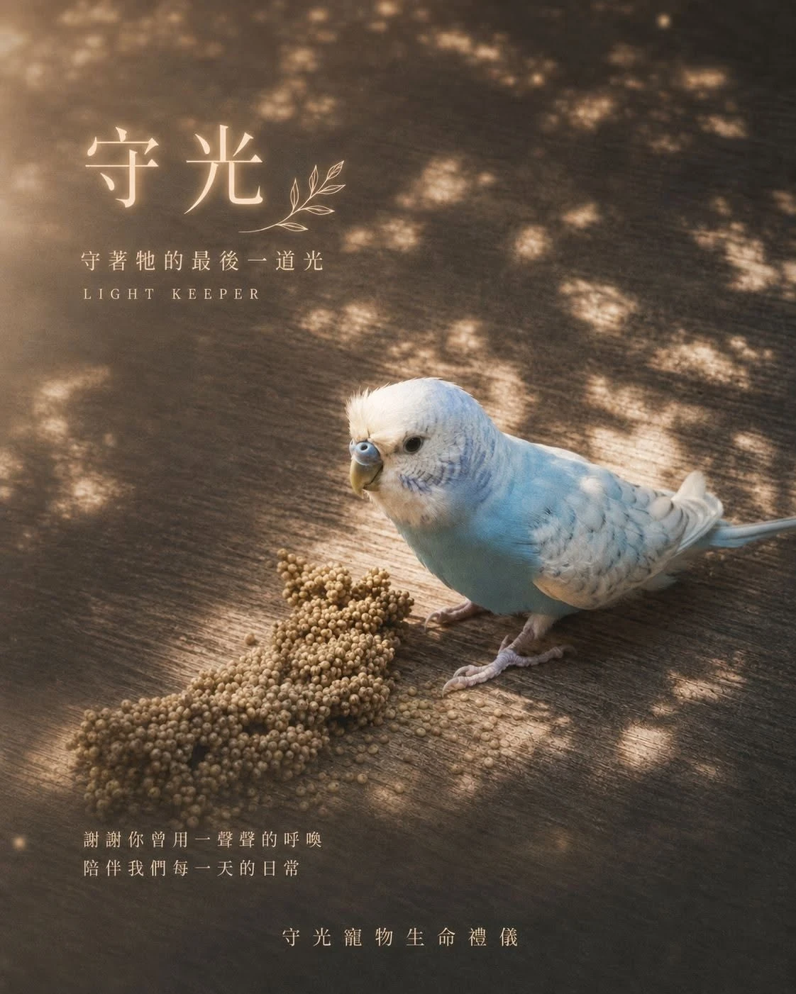 謝謝每一位主人對我的信任， 願意讓我親力親為，替您們的寶貝完成最後的善終服務。