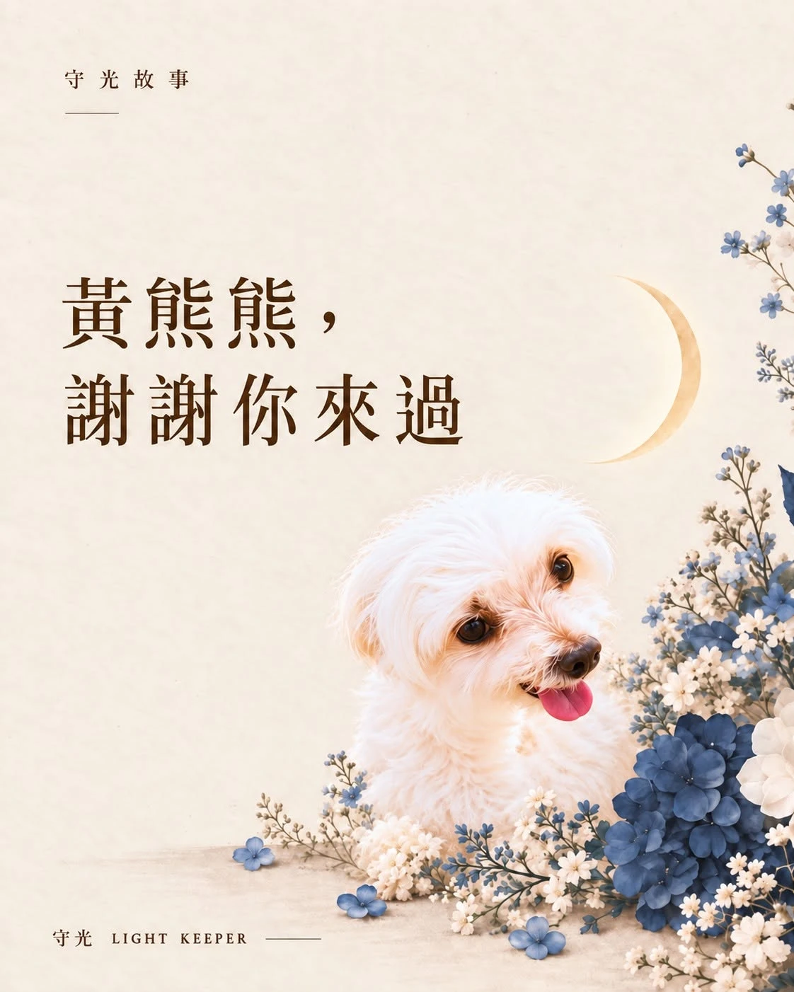 陪伴爸爸媽媽十幾年的熊熊 完成了這一生最重要的任務
