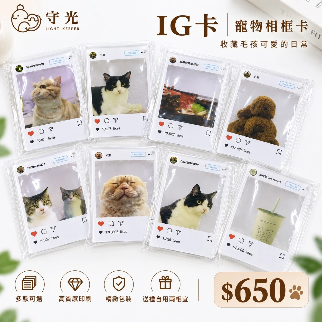 IG卡｜寵物相框卡