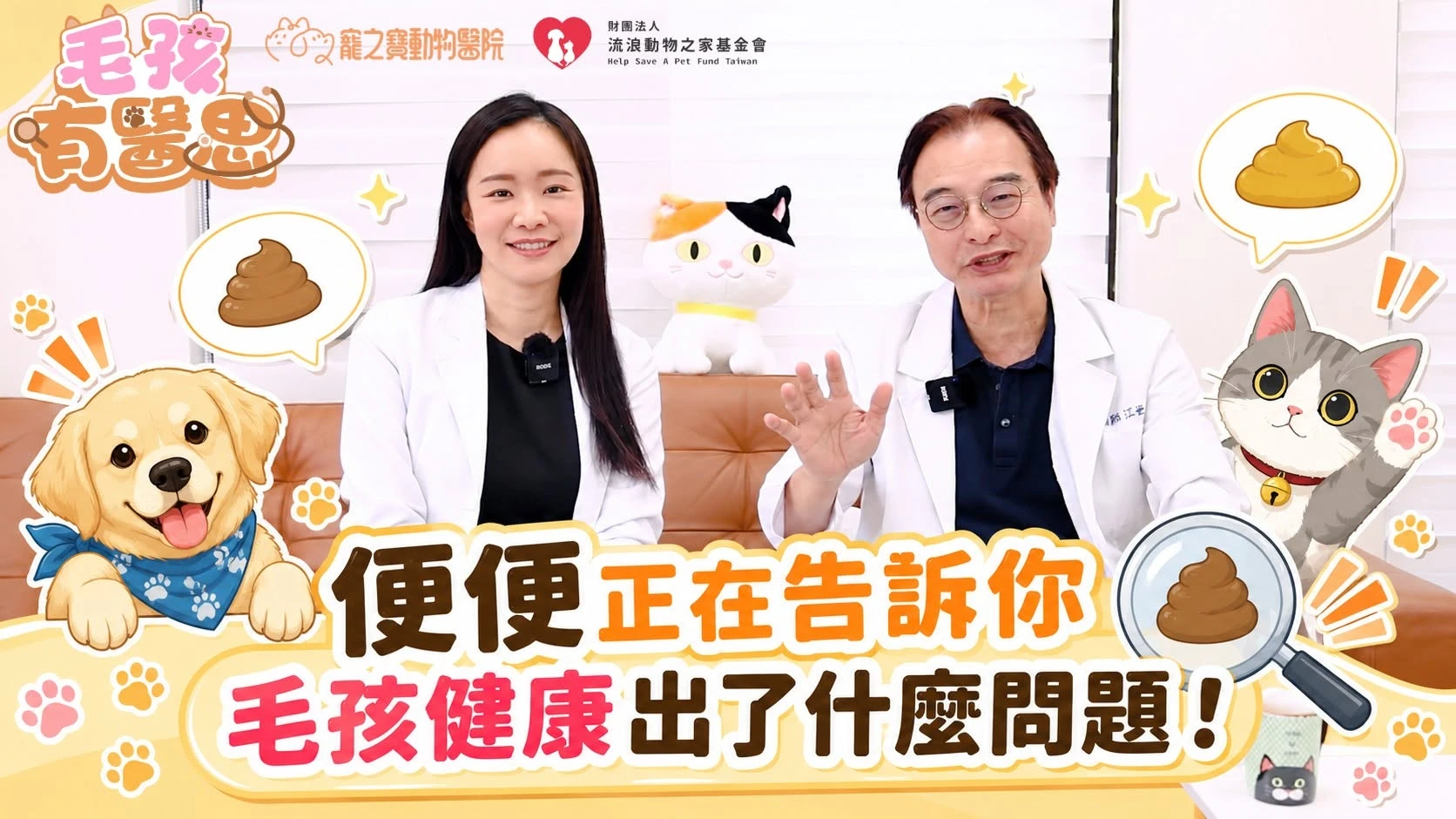 毛孩的便便，你每天都有認真看嗎？
