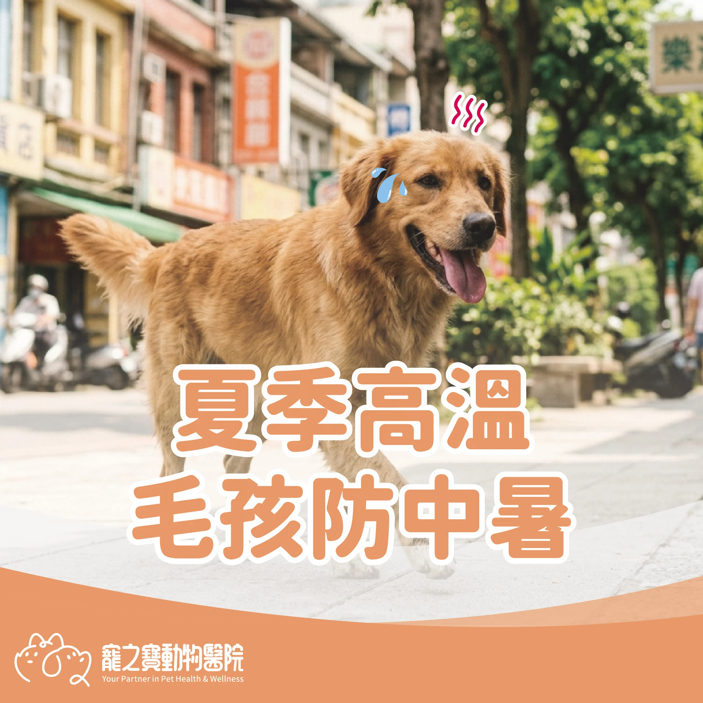 夏季高溫防中暑