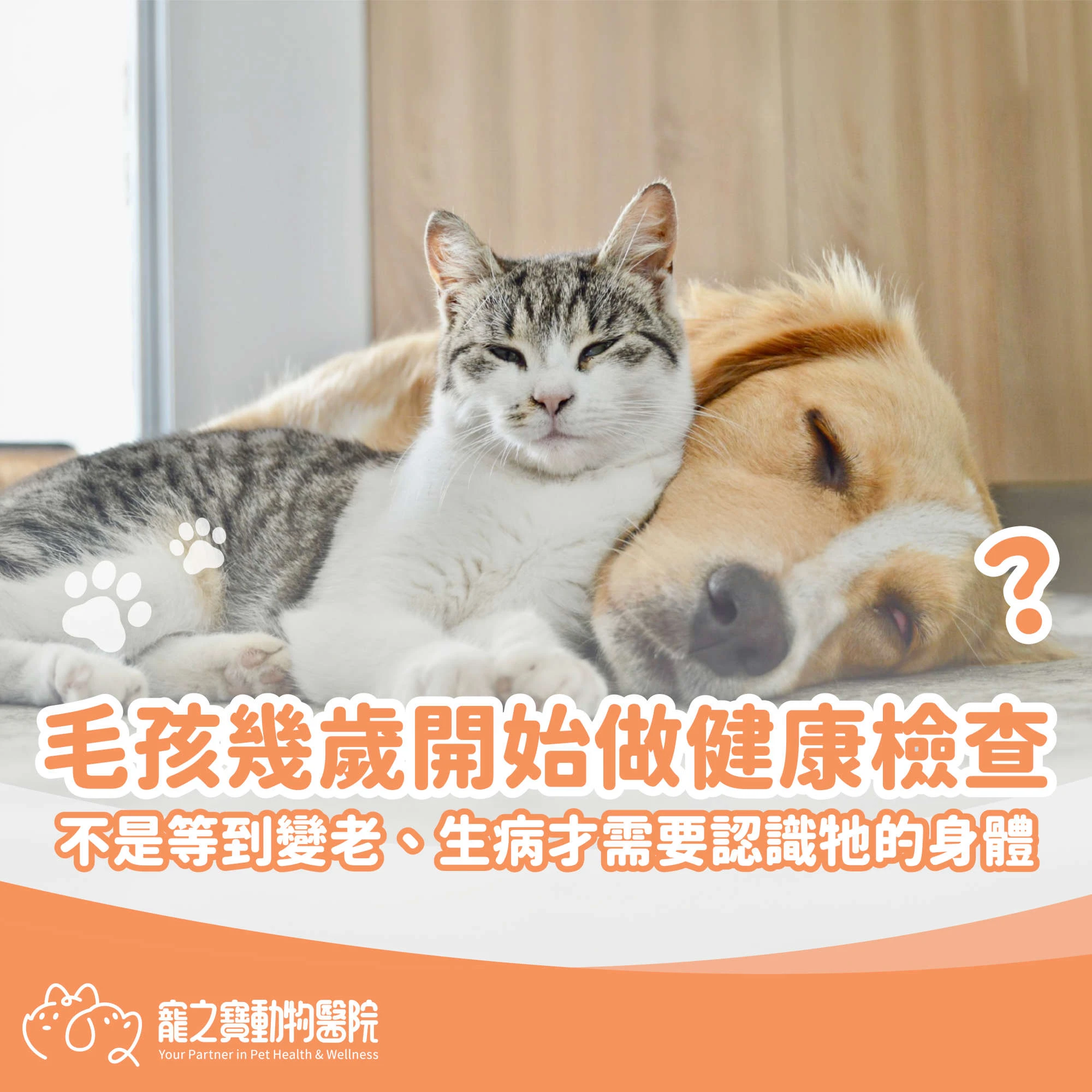 毛孩兒幾歲開始做健康檢查?