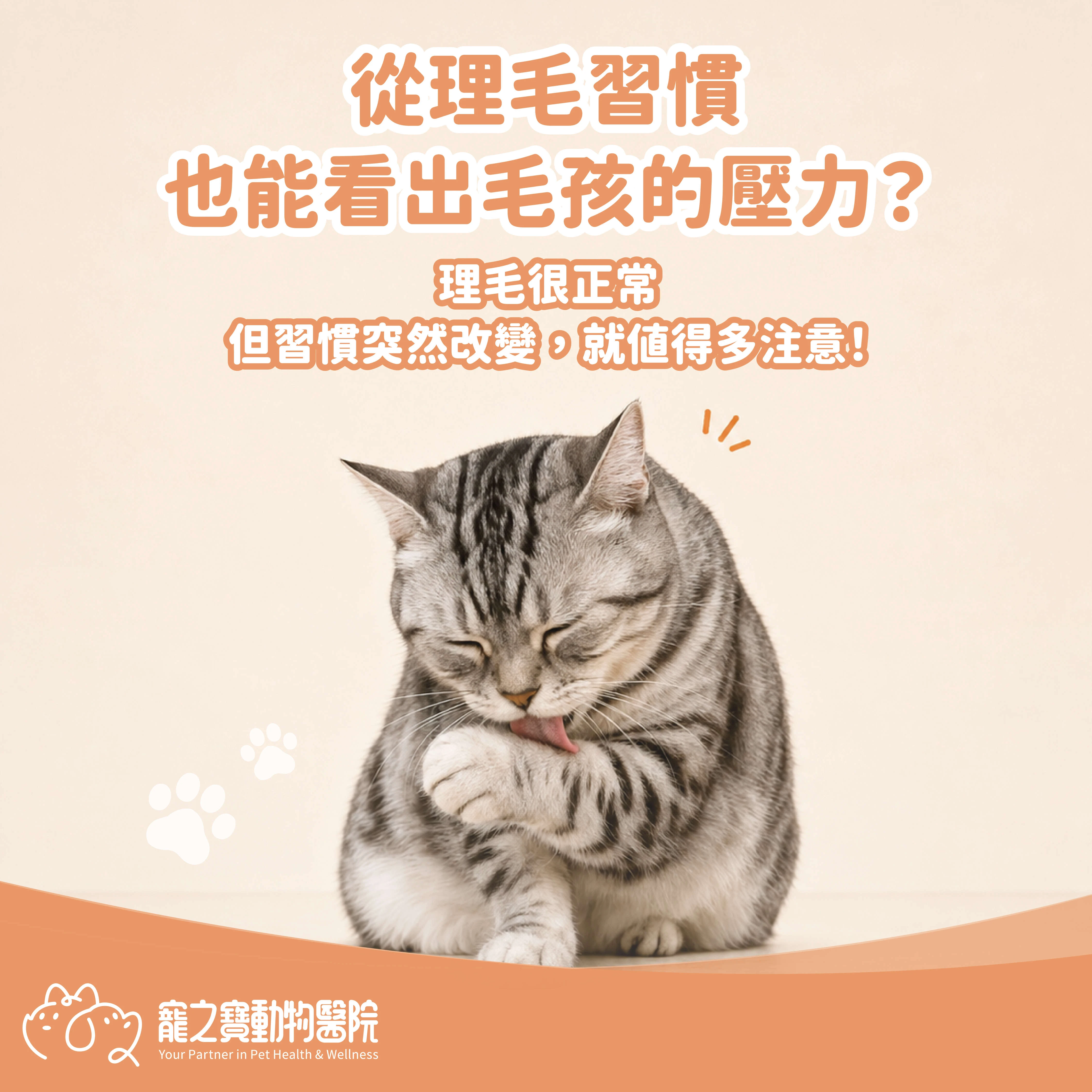 從理毛習慣，也能看出毛孩兒的壓力