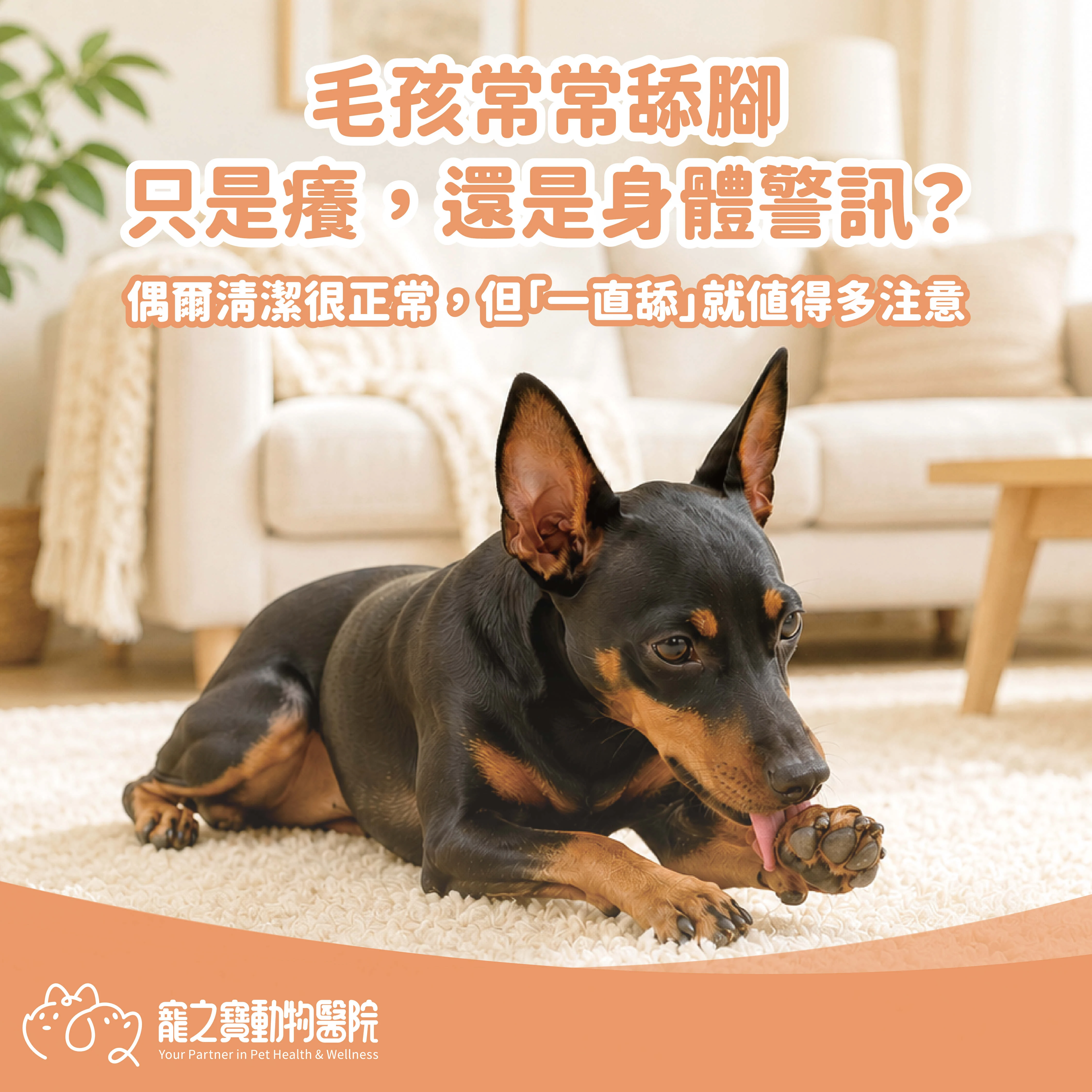 毛孩兒常常舔腳，只是癢,還是身體警訊?