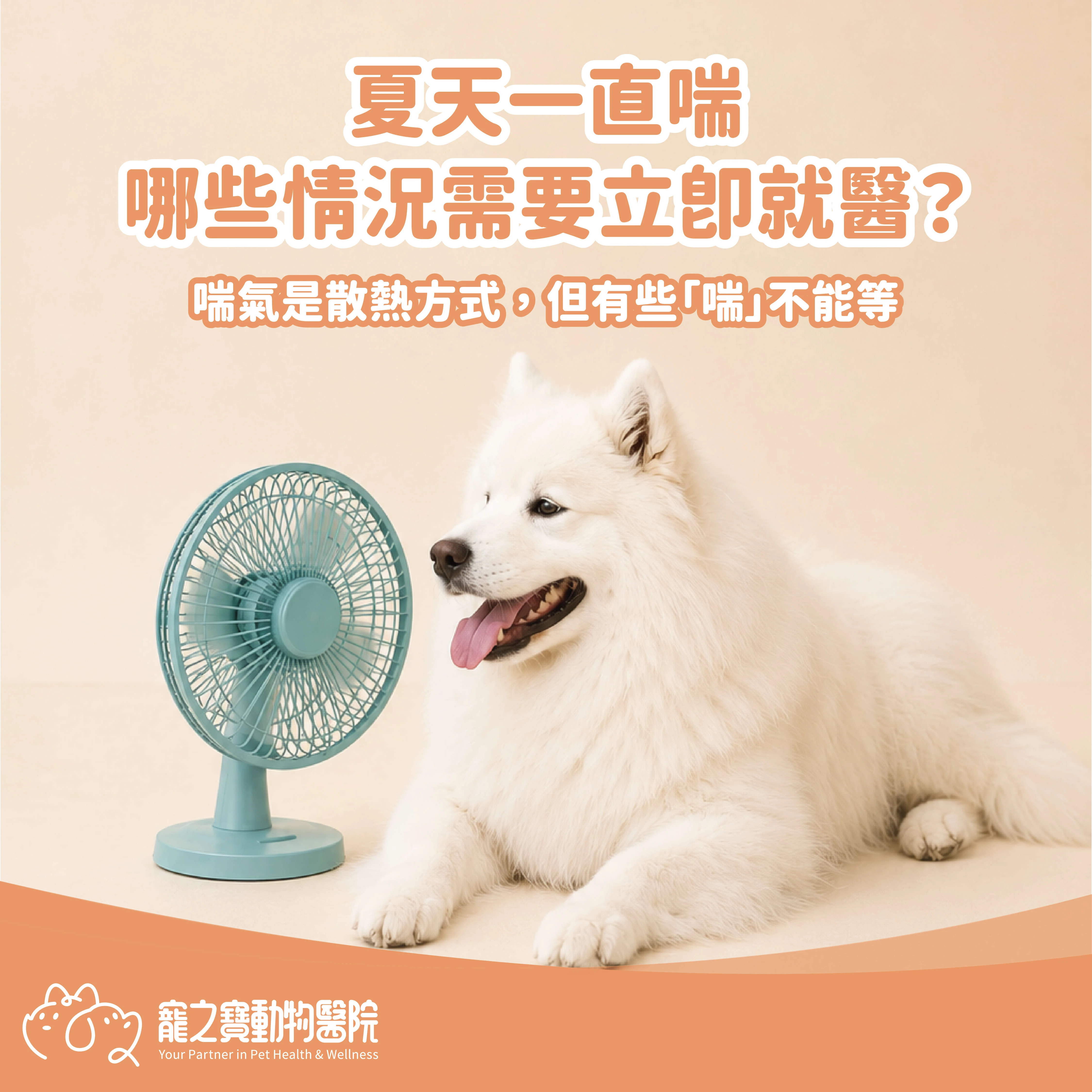 夏天一直喘，那些情況需要立即就醫?