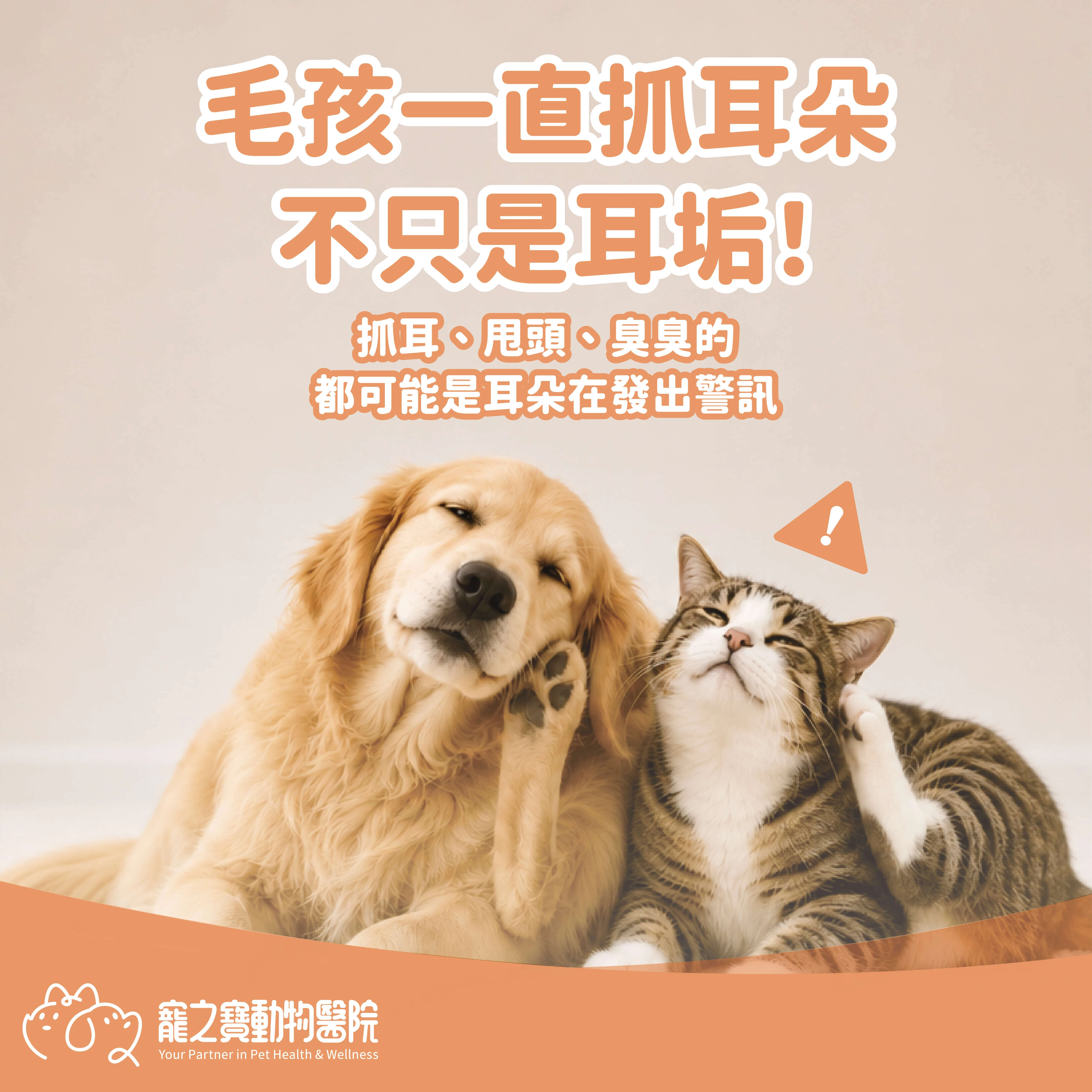 毛孩一直抓耳朵，不只是耳垢!