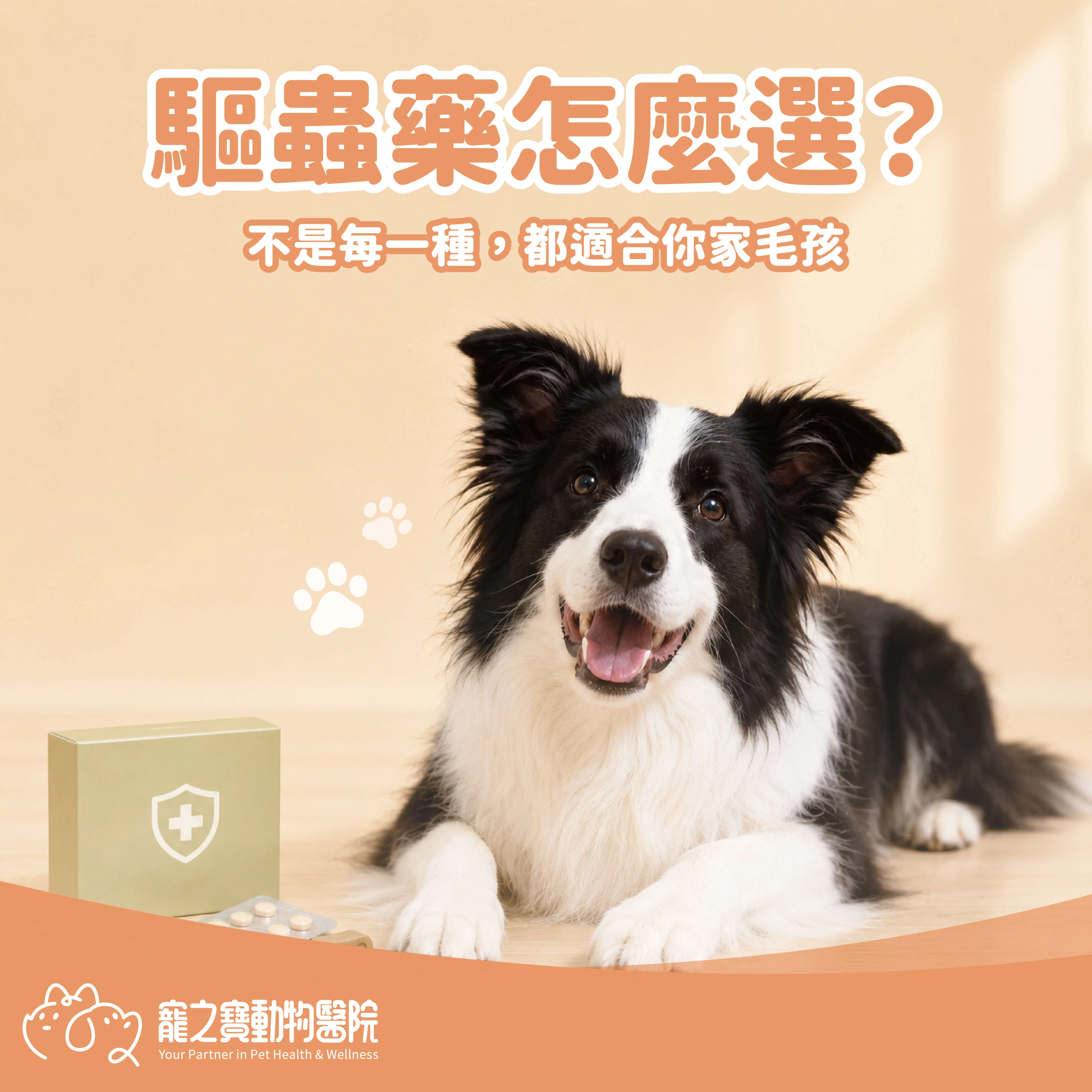 驅蟲藥怎麼選? 不是每一種，都適合你家毛孩