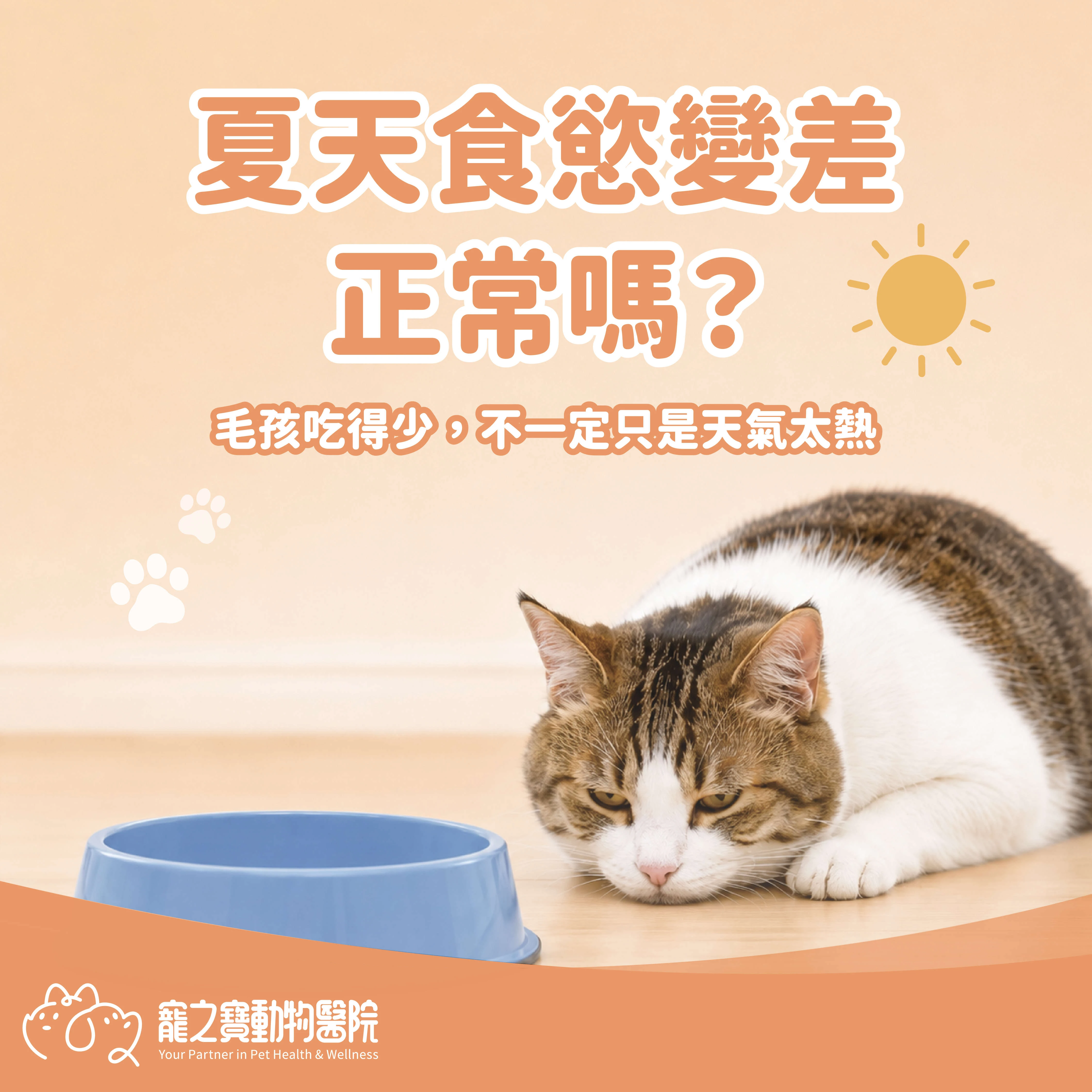 夏天毛孩的食慾變差