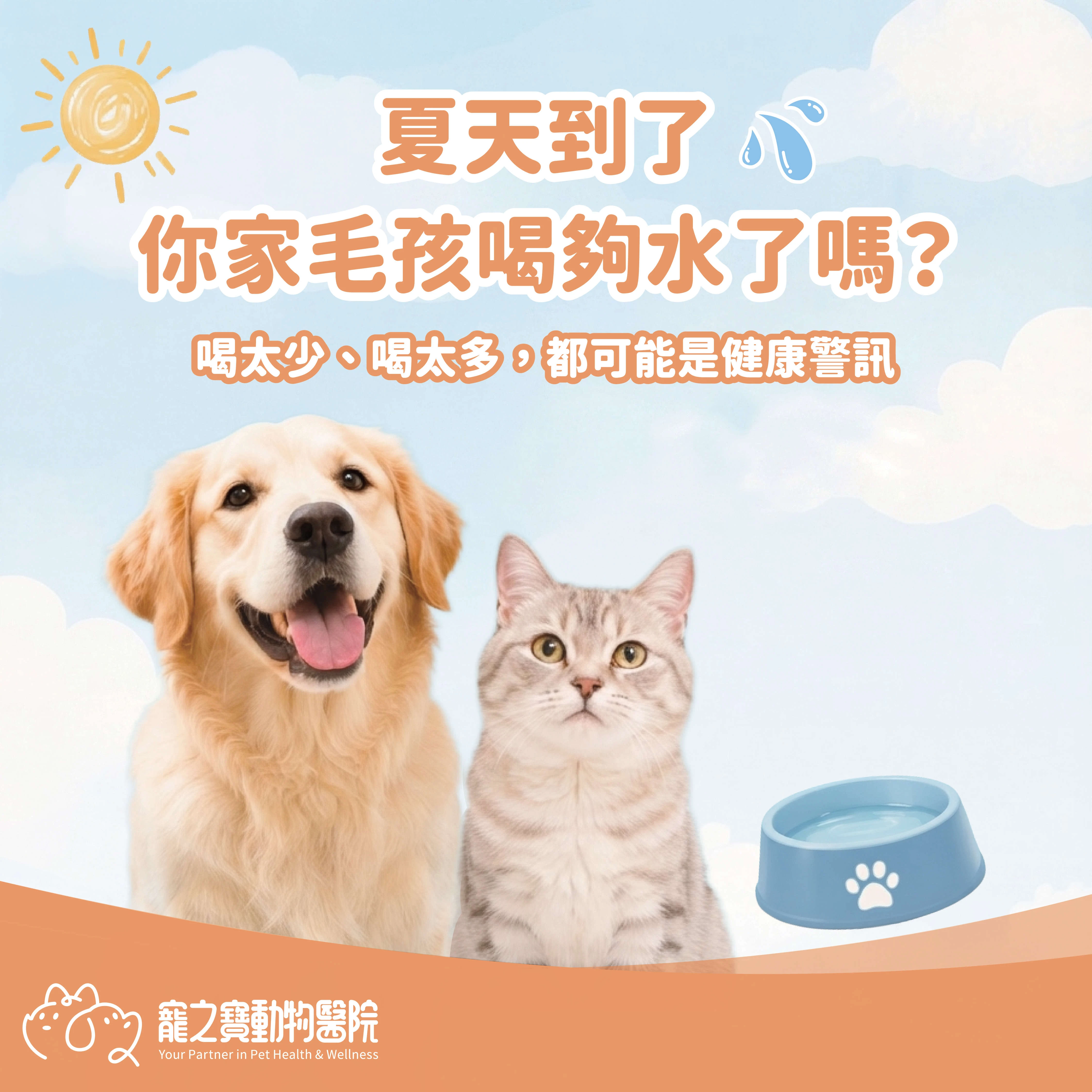 夏天到了，你家毛孩喝夠水了嗎?