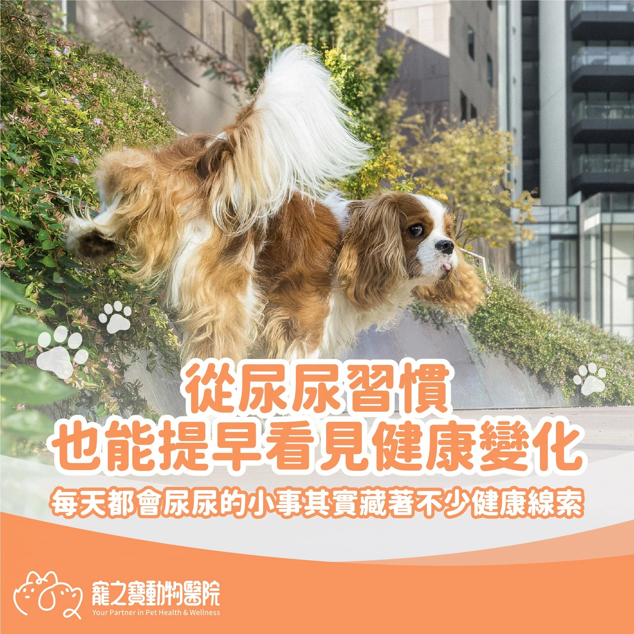 從尿尿習慣也能提早看見健康變化