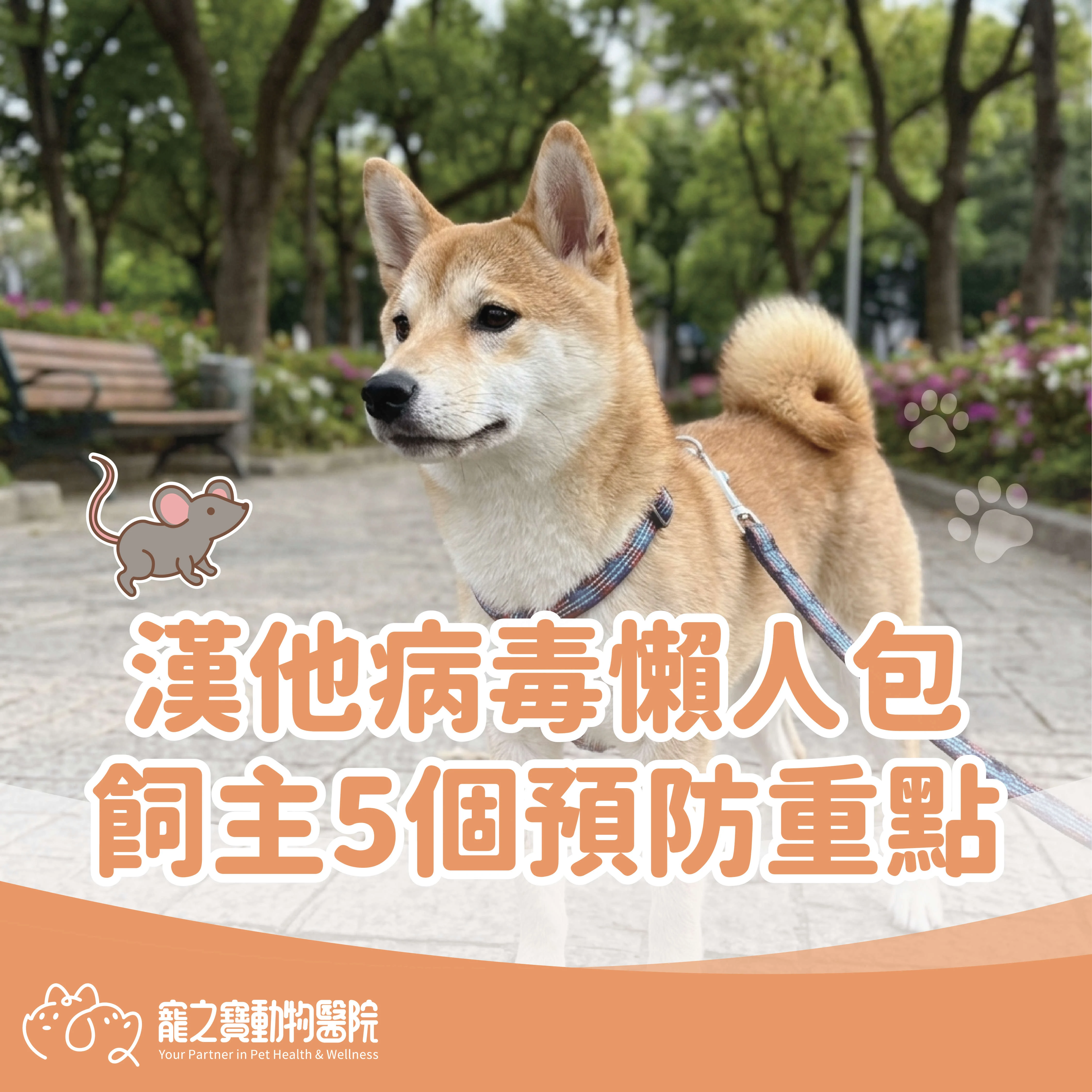 漢他病毒預防重點