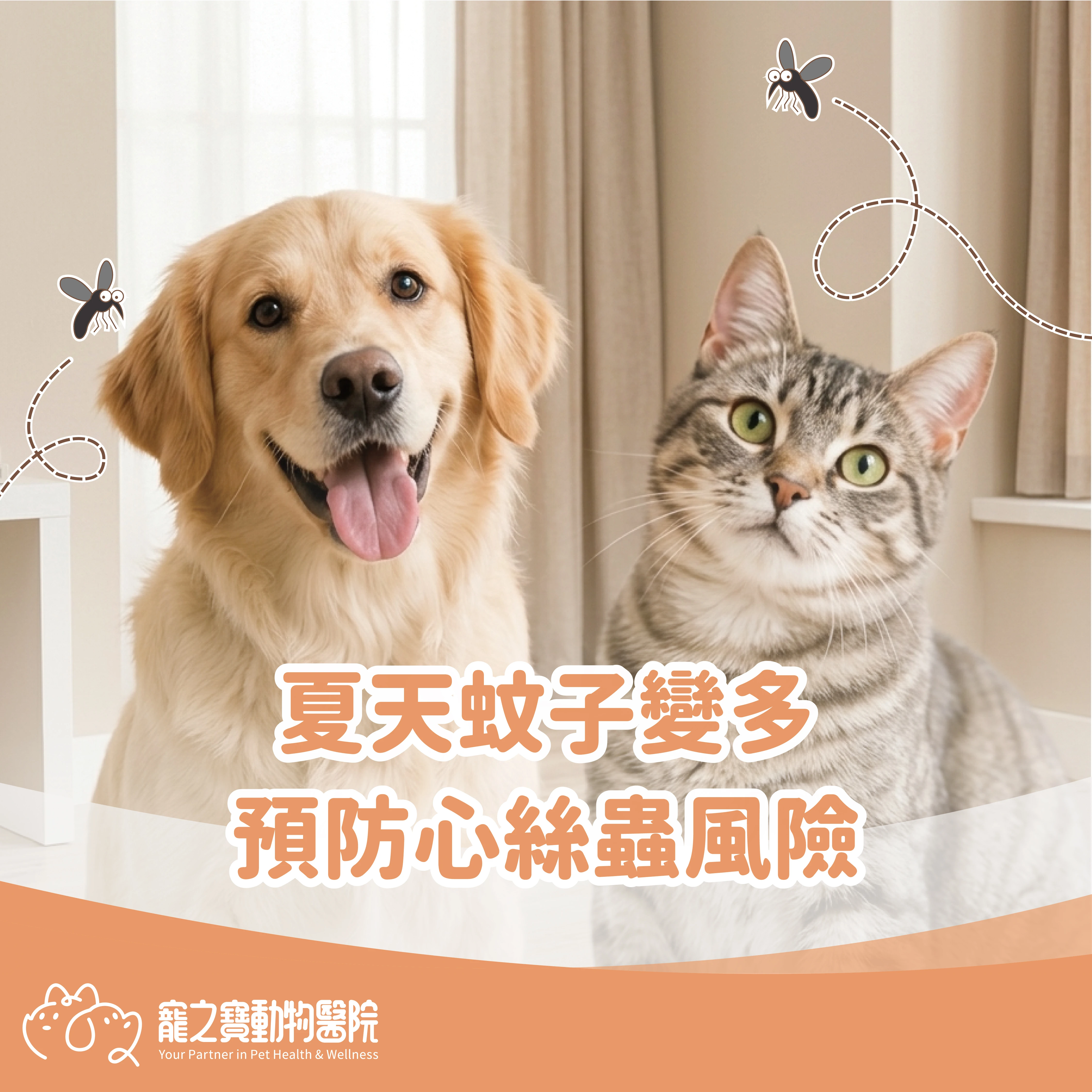 夏天蚊子變多，預防心絲蟲風險