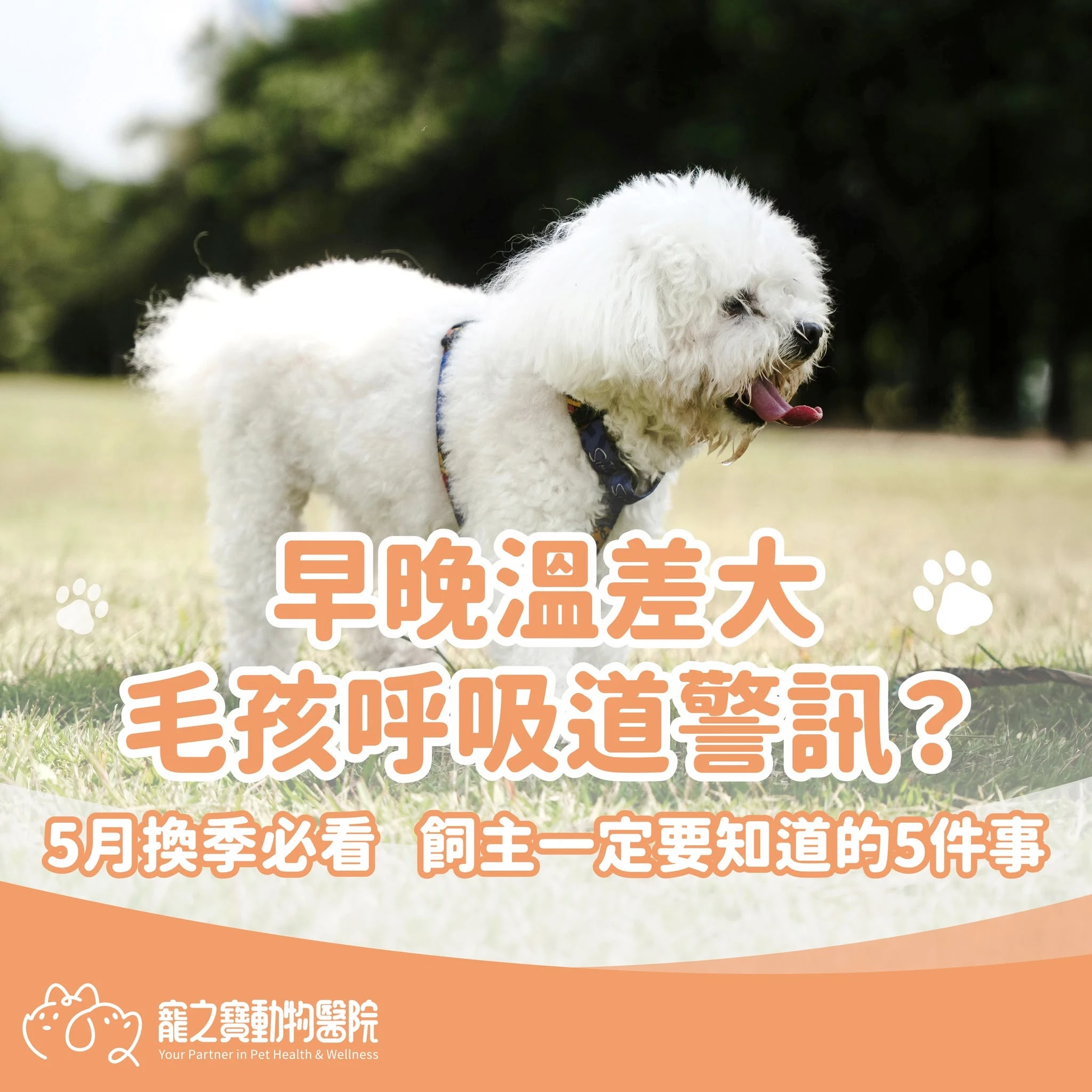 早晚溫差大，小心毛孩呼吸道拉警報