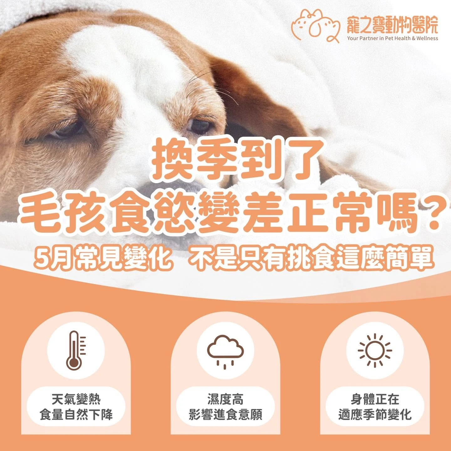 毛孩食慾改變了，正常嗎？