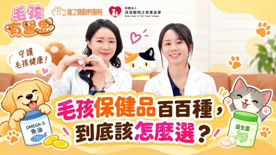 【毛孩有醫思】毛孩保健品百百種，到底該怎麼選？