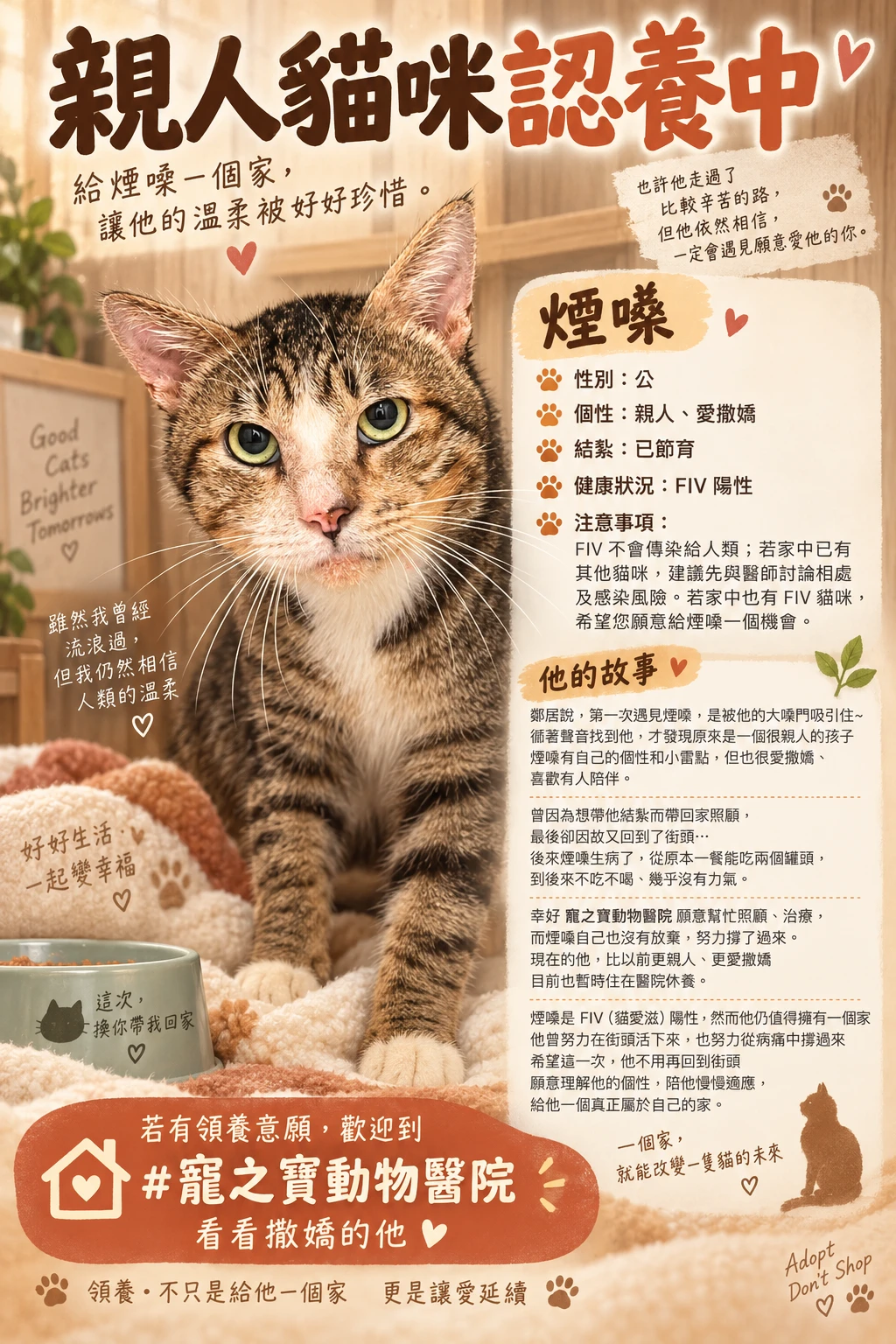 [幫浪浪找個家] - 煙嗓