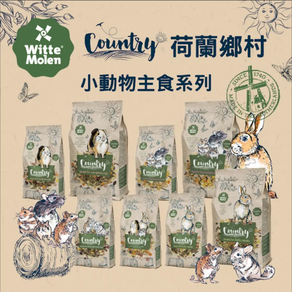 寵小到大