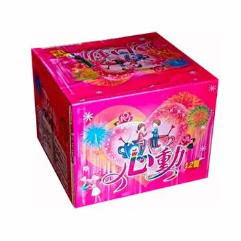 12發心動