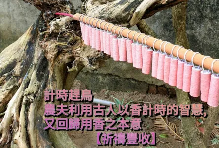 趕鳥大炮