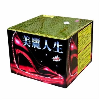 18發美麗人生