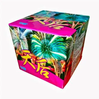 12發天后