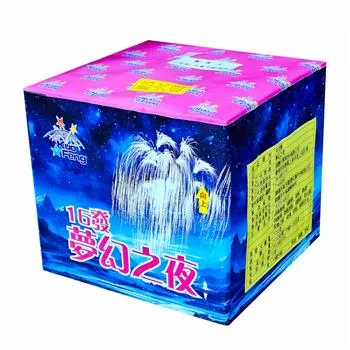 16發夢幻之夜