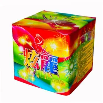 12發炫麗