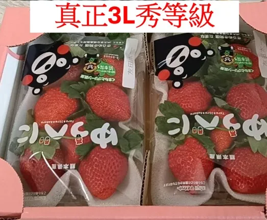 日本熊本草莓 #3L(秀) 原裝箱 