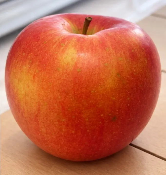 日本蜜蘋果青森蘋果・單顆 #40原裝箱・甜潤登場