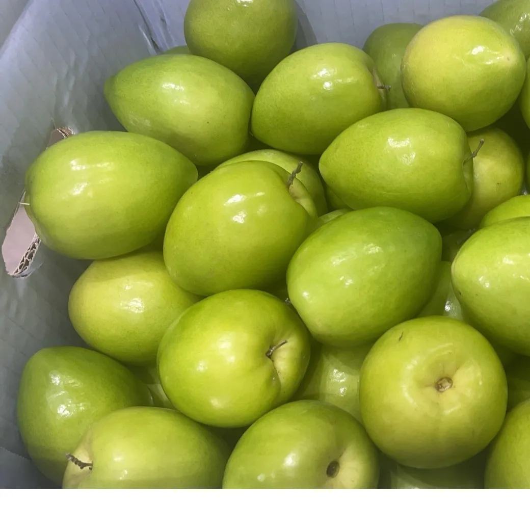 燕巢金桃蜜棗・特選等級 