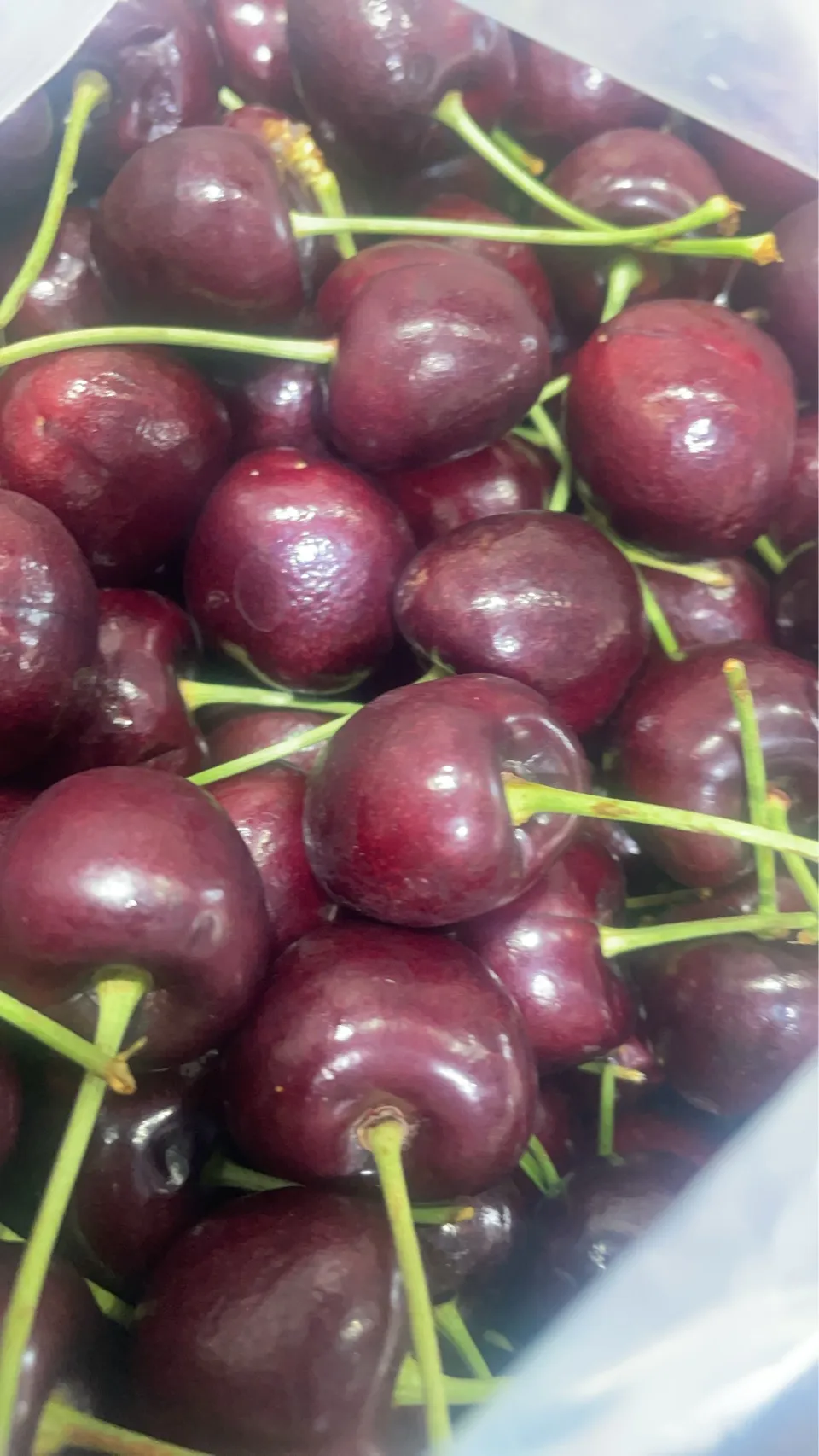 智利Regina 櫻桃 2.5kg 原裝箱