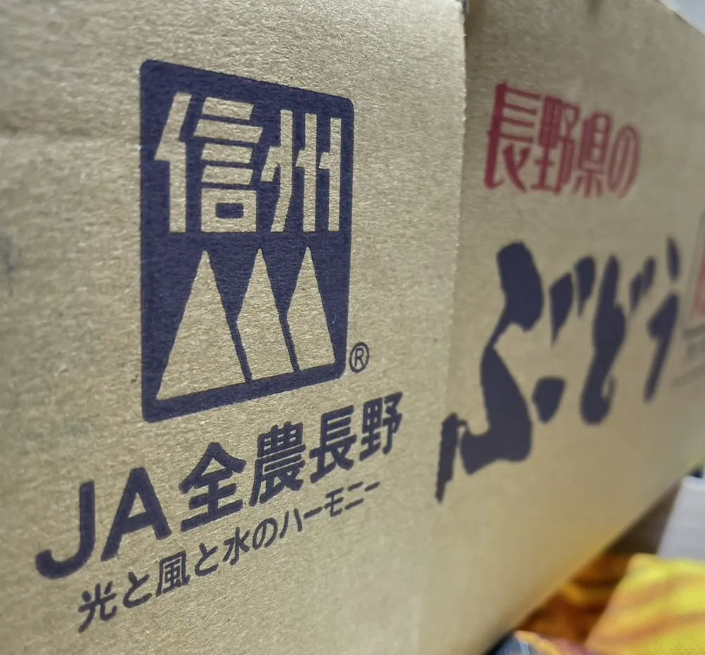 日本長野信州麝香葡萄｜8房｜1600元／房