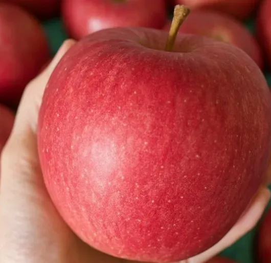 日本蜜蘋果青森蘋果・#28原裝箱・甜潤登場