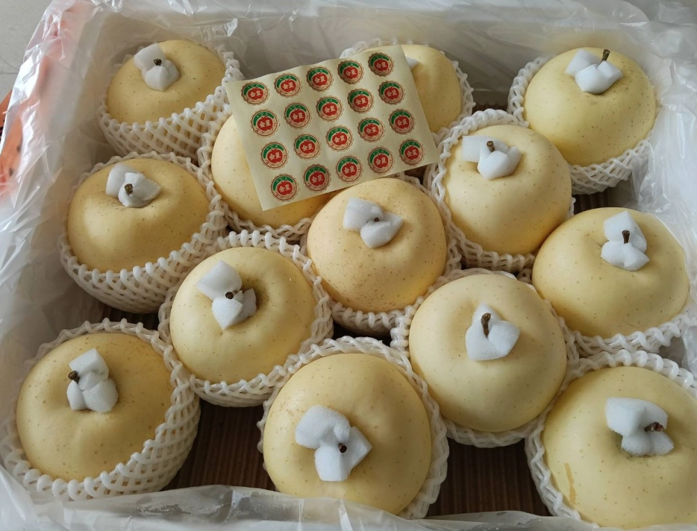 日本青森金星蘋果・#26粒原裝箱(10Kg)・預購價! 3000元